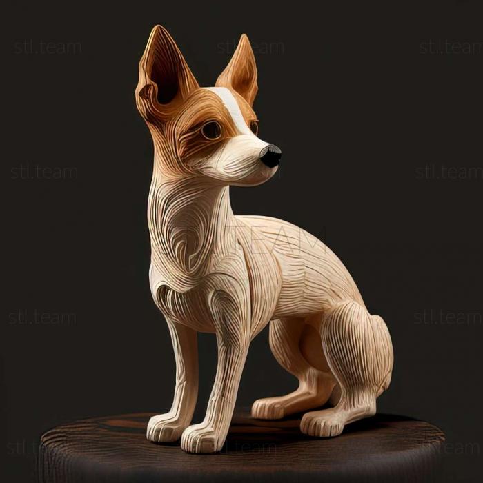 Toy Fox Terrier dog